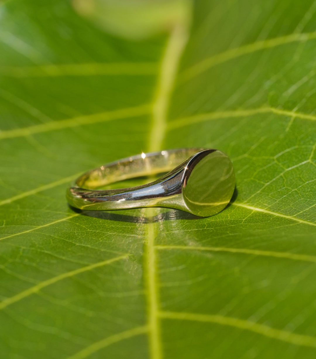 Solare Ring by O Collection — 14k gold minimalist signet ring with oval face, sun-inspired modern heirloom jewelry