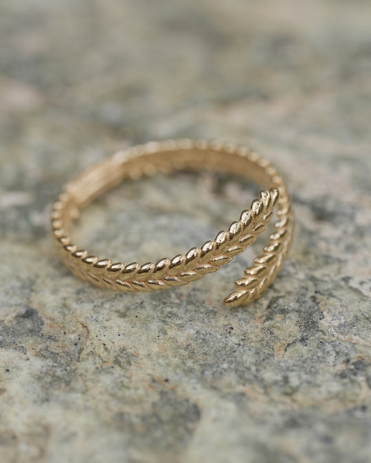 The Aurea Ring