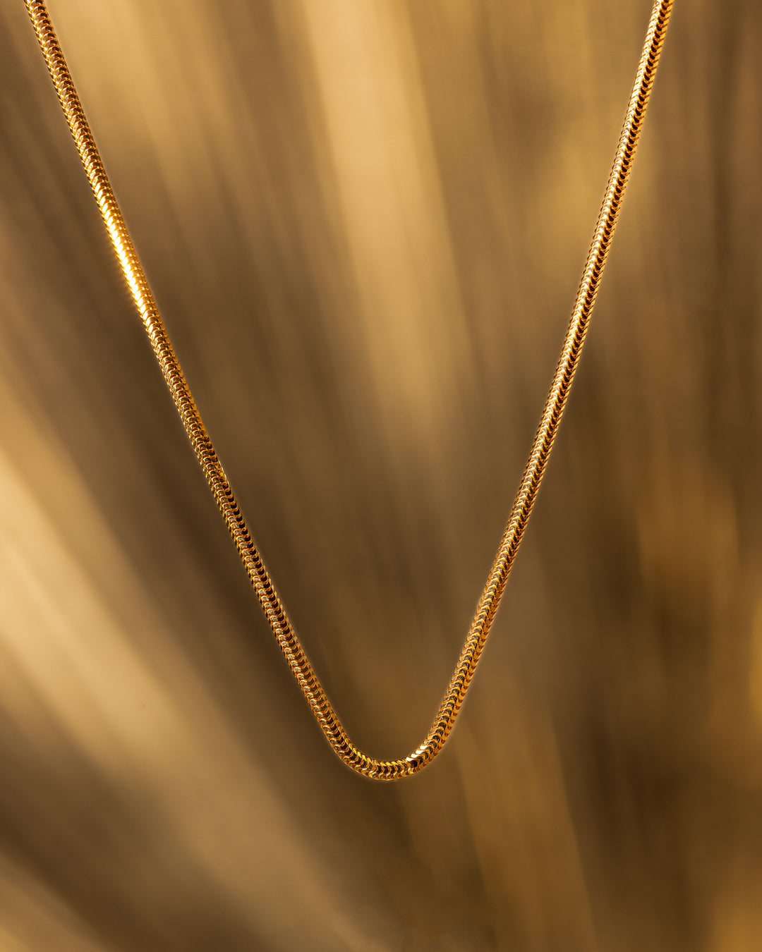 Venetian 14k Gold Chain