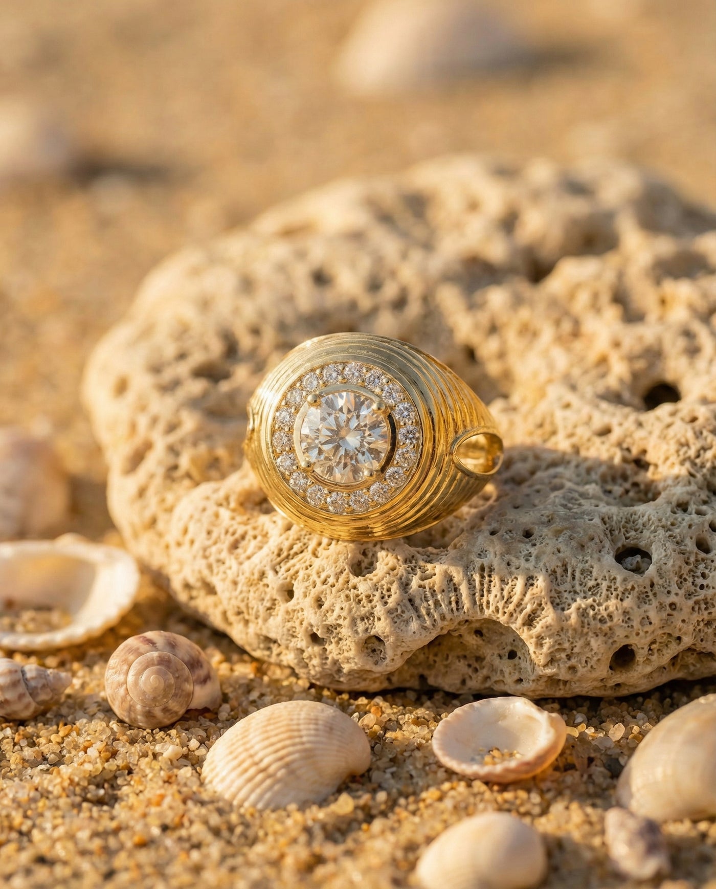 The Solari Ring