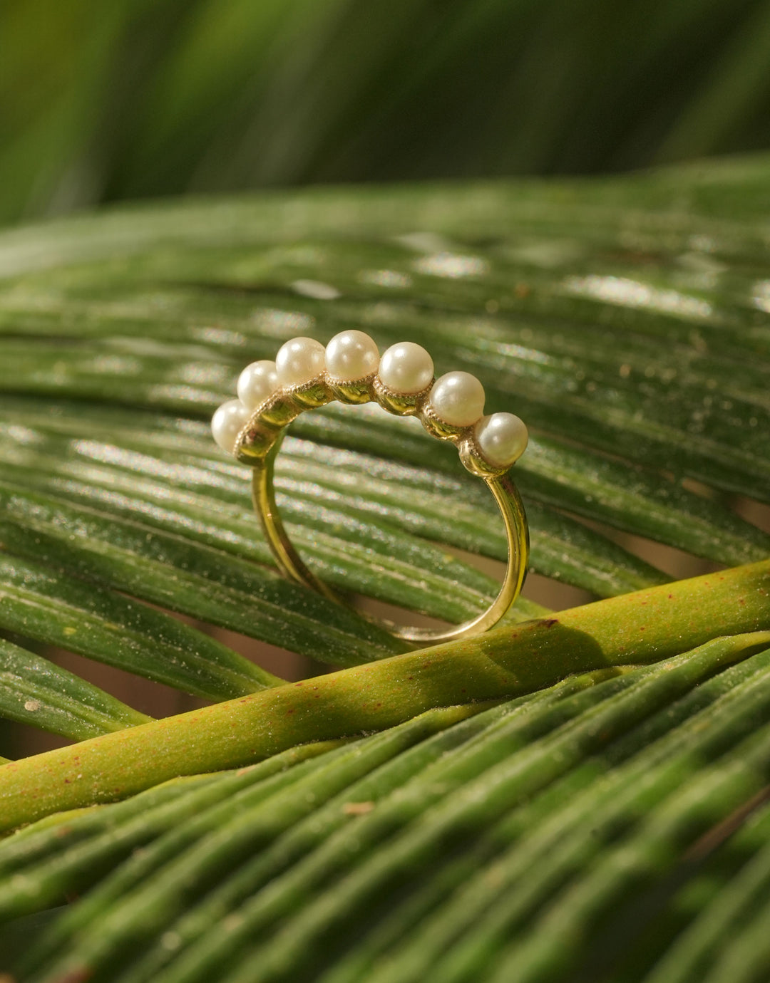 Gold pearl ring from The O Collection’s SS2024 line, featuring a minimalist design.