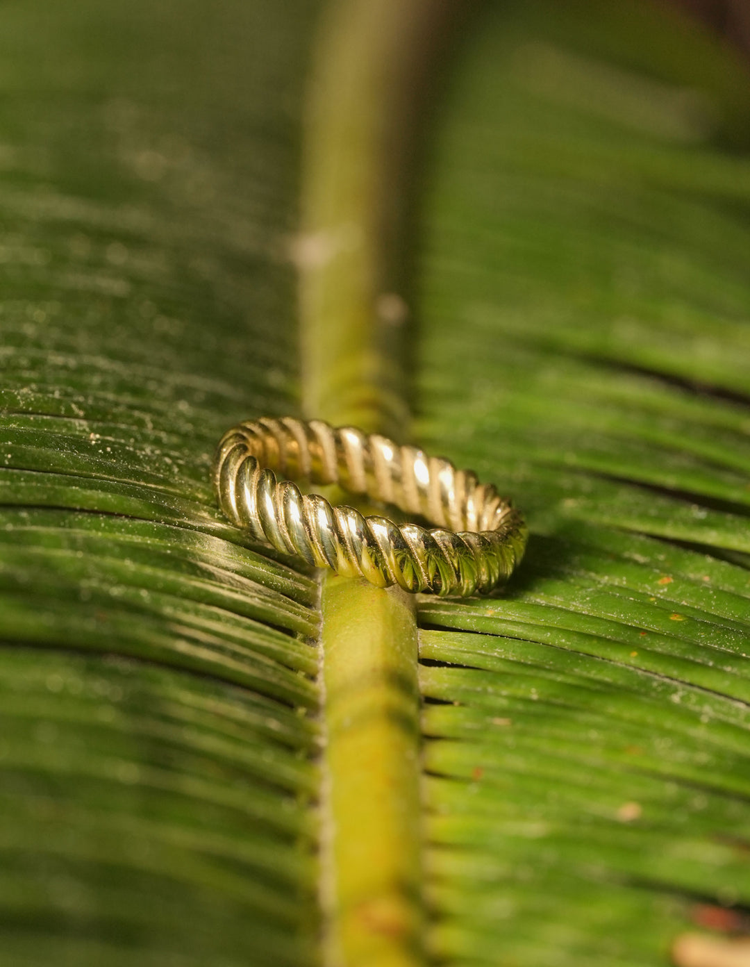 Solid 14k gold rope-style ring with twisted design, inspired by nautical themes and Mediterranean elegance.