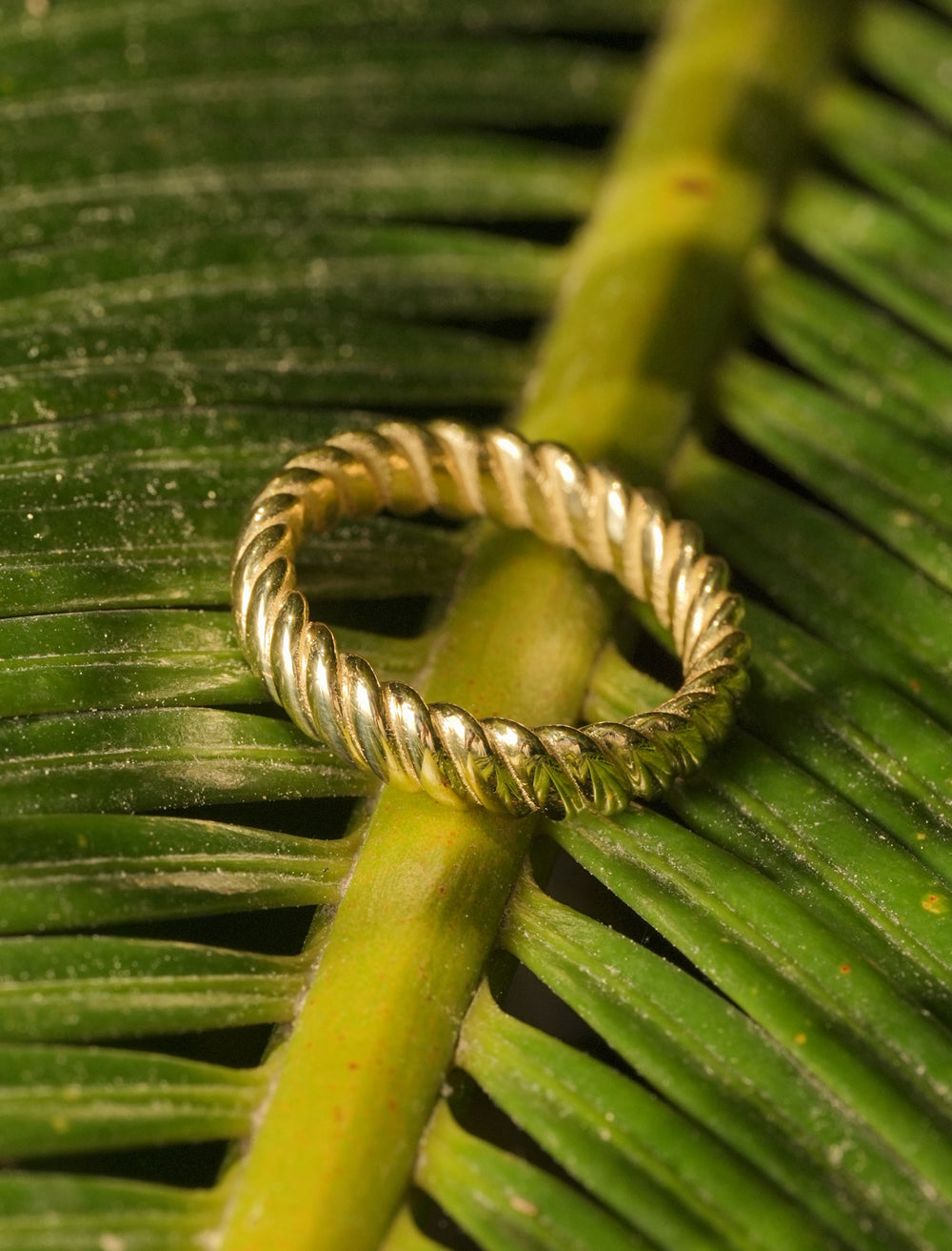 Solid 14k gold rope-style ring with twisted design, inspired by nautical themes and Mediterranean elegance.